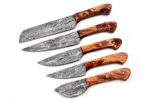 Premium Steel Chef Knife Set