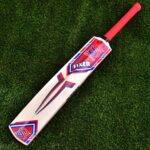 Popular Wood Cricket Bat