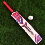 Popular Wood Cricket Bat - Image 2